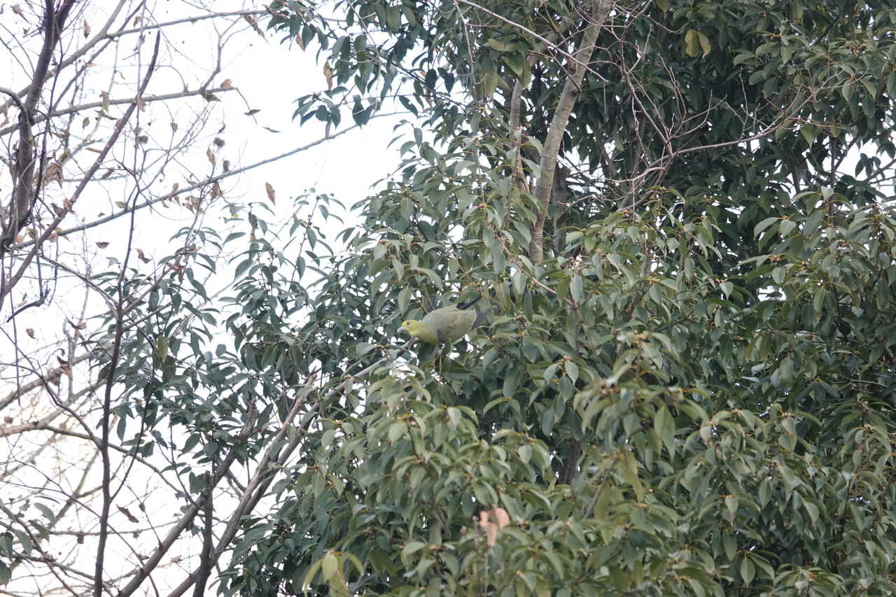 DSC08042