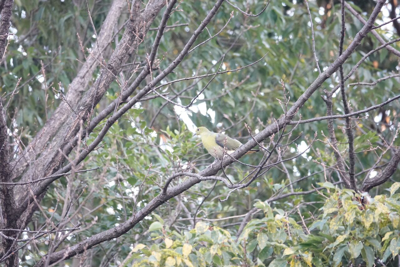 DSC07952