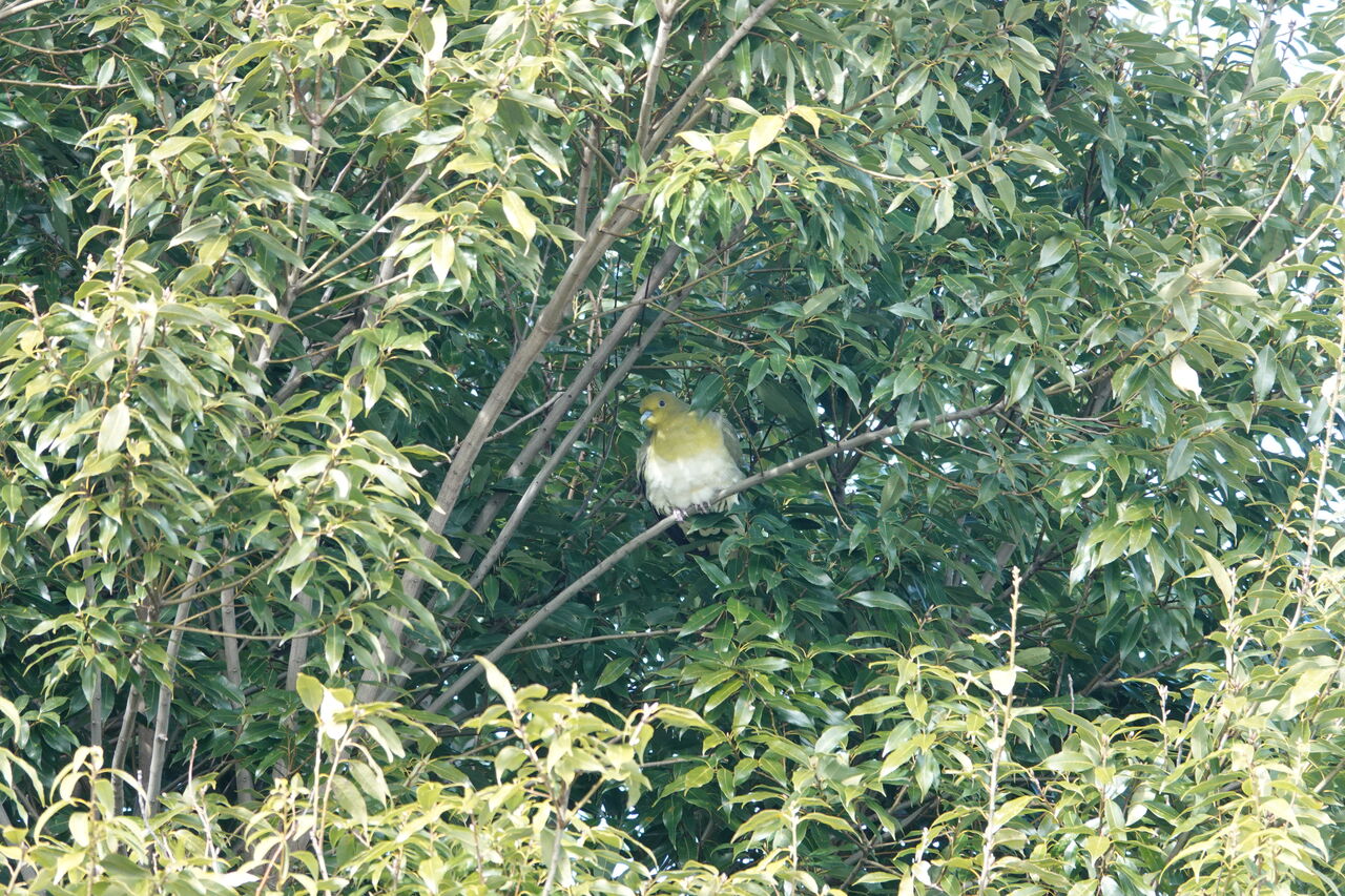 DSC08205