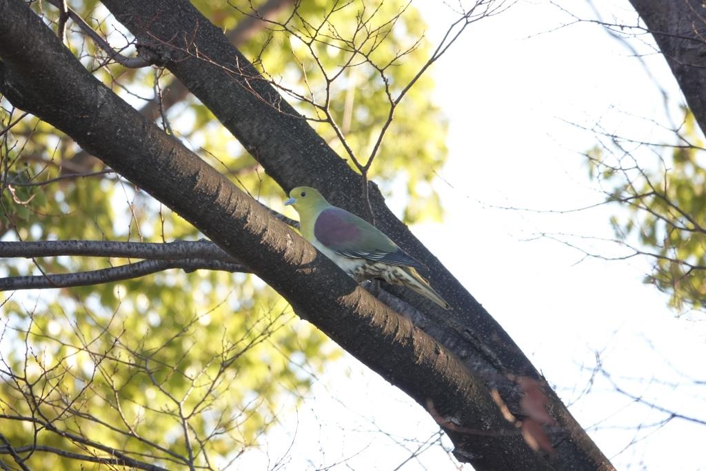 DSC07291