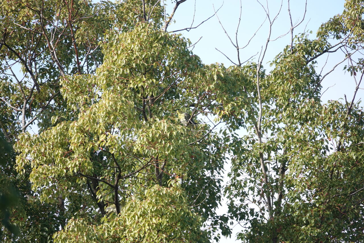 DSC08190
