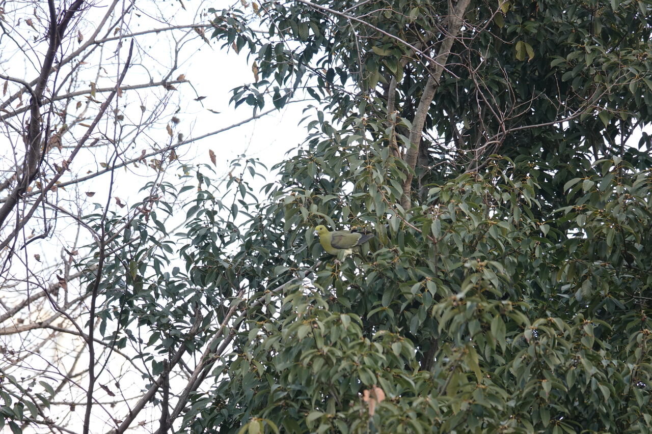 DSC08027