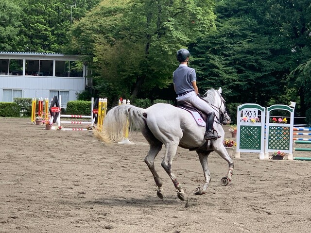ナス サマーホースショー21 結果報告 乗馬部ログ
