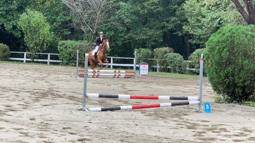 6ACE6823-1795-43D6-B9A6-CACE58B17D8D