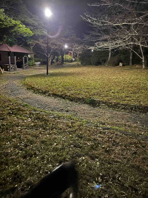 5BBBDB73-BB89-4D09-8C6D-9D1E0B9912D1