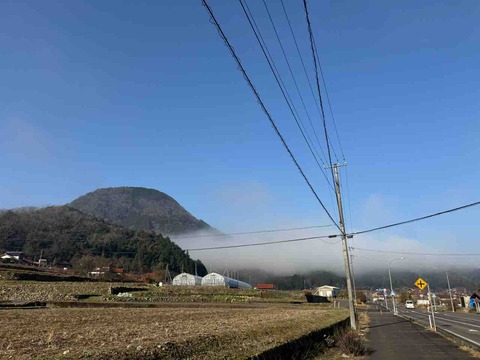 4A2C9689-669F-4129-87EB-DDD00A48C825