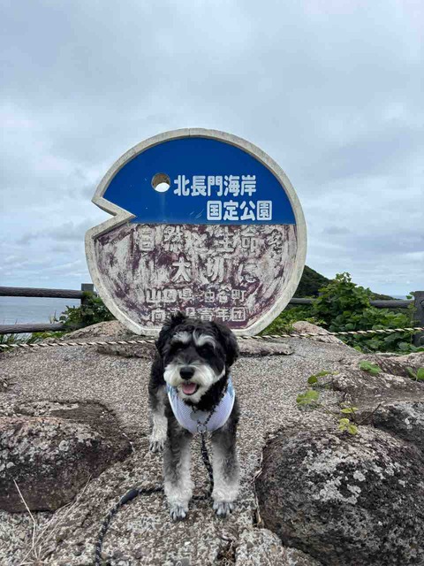 623605B1-73F3-4BD9-8330-851490094FB5