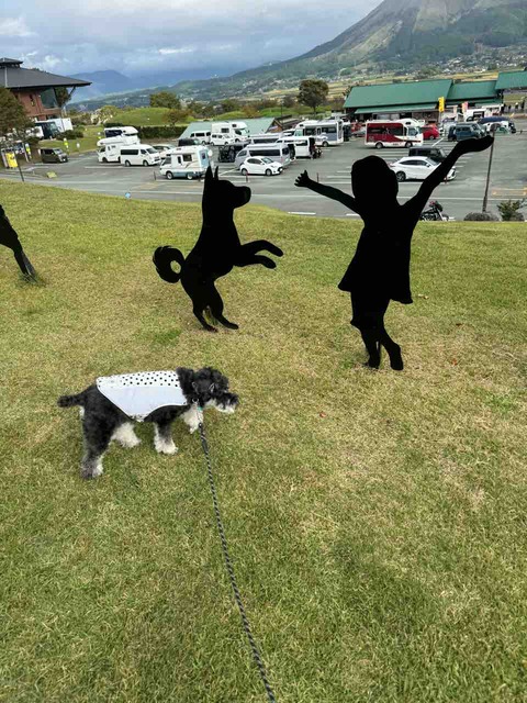 5A4E8C84-2E59-4716-B6CC-6EBEED74B72B