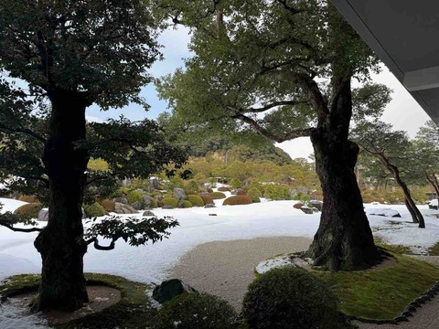 818D9C27-43F4-4F92-A390-951170530632