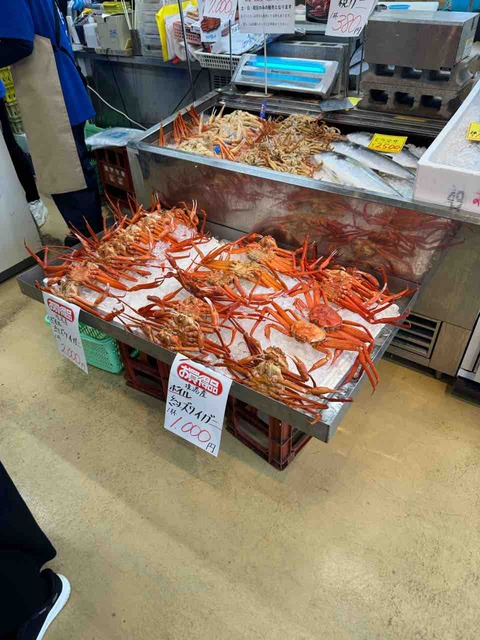 EA82C96B-EF1E-4809-98B4-13F8CF050E52