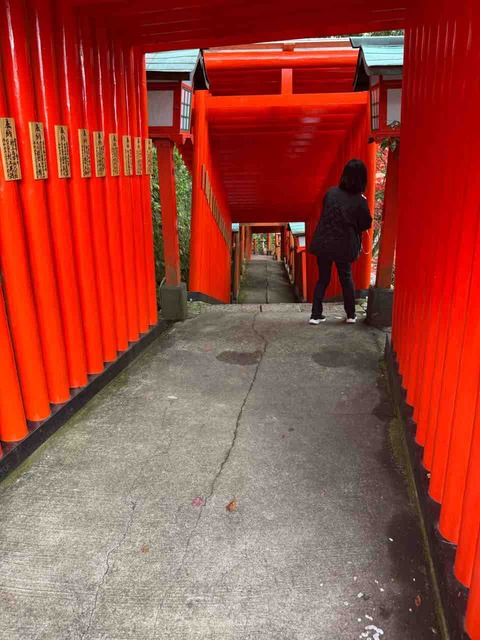 C82BC363-6CEE-4C12-93FC-970F70F5879F