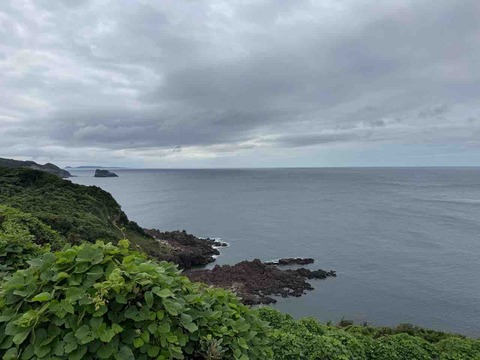 DF35B4F7-2848-47A0-BF68-B408D2E802FB