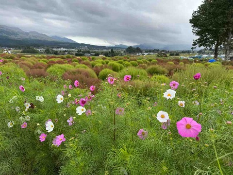 95AF4620-34B7-4C90-9951-32C917CB8471