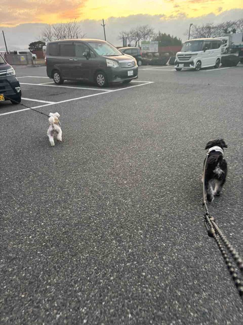 00FB4A29-C9AB-4D67-9047-043685A74711