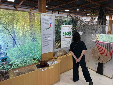 D20C4598-B2B1-4257-AC64-816EB52634B4