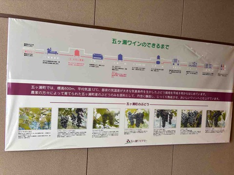 C10B87A1-AAD7-4111-BD91-AE8070D6F9DE