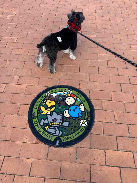 B348A94B-7DC2-452E-9113-898FB01DD52A