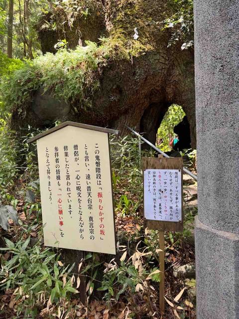 A4EB89B8-9B27-4506-B9E7-35E9B16BCAD8