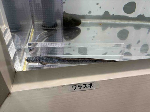 72BDEBF7-B360-4FEE-96C4-E409112521C3