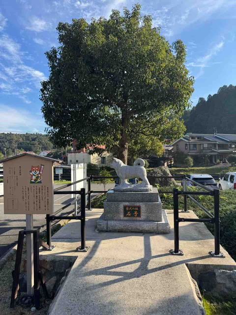 01B6DCBA-5A0F-4B38-B9B2-C20BDE611FD9