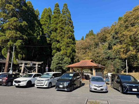 42684D72-04A7-4F37-8EE5-8C2902A71A99