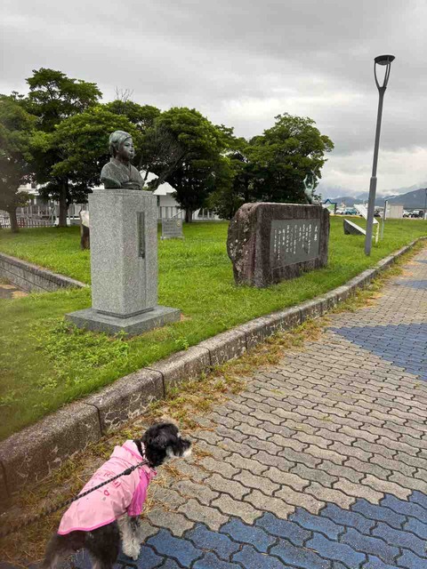 F9F2F087-7477-42F1-ABE6-3F379900AA3B