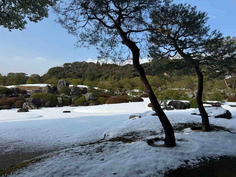 483AE10D-B189-4D4B-95C4-ACF643793598