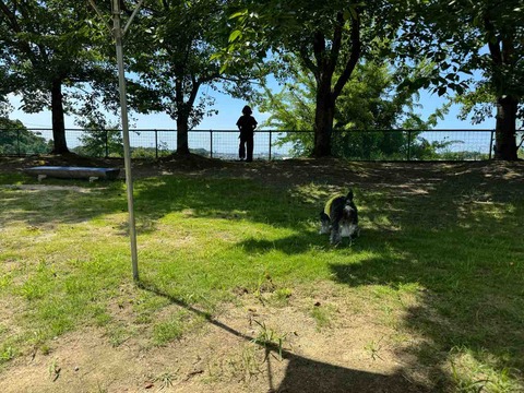 F8625EEE-BE89-4CC7-8693-DDF27E006B27