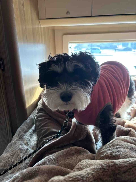 4A1154D8-FD4B-4061-B4AD-66382AD32398