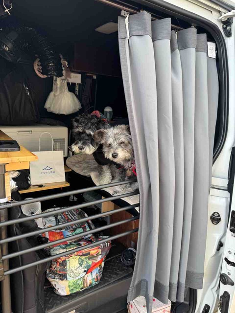 2B543679-0FAC-4F95-B94D-E15773F4DE2F