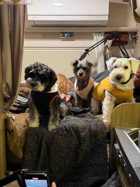 8280BE30-68E6-4E15-8BC0-65FD165981B5