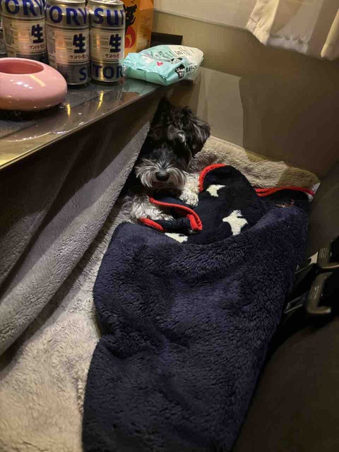 1422EF25-6B18-4842-8557-C6577DD6D8A1