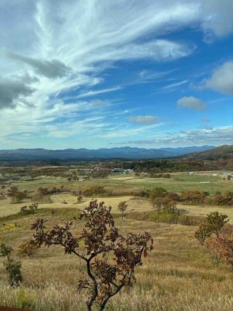 ABBC8F69-3E13-4765-9F3E-1C0137EF2ADA