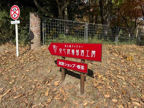 D715373A-307E-45B6-A05A-06BEFB365612