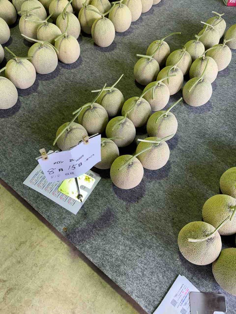 90EA1E8C-5BE0-4913-BB5C-78EE3937C767