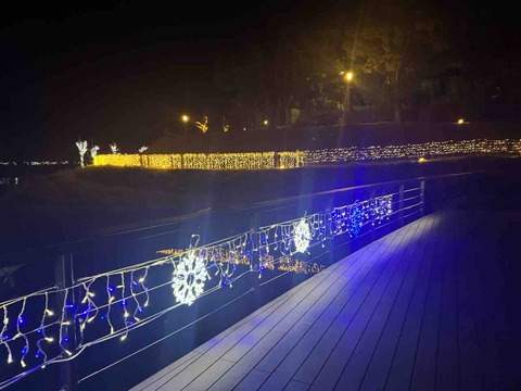 88875E30-C08C-498E-8281-73532A655367