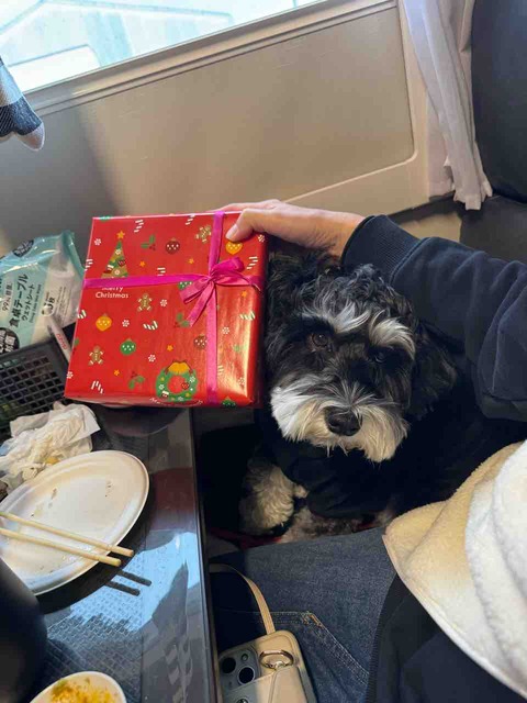 A107E099-7F45-47CE-8B85-19CD8A84F918