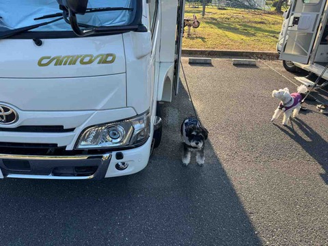 457E57E8-6CC9-4E8E-BE60-A3CC39311A26