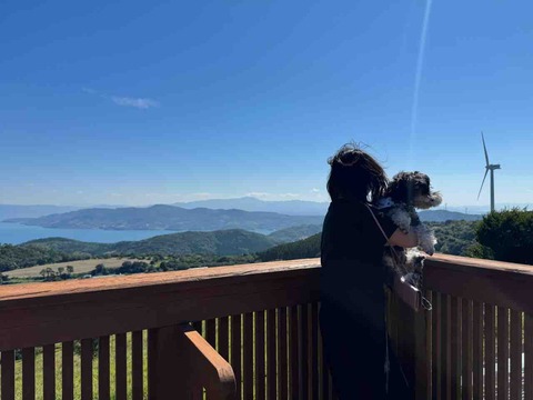 66C316A7-ACC6-489B-815D-186E99763064