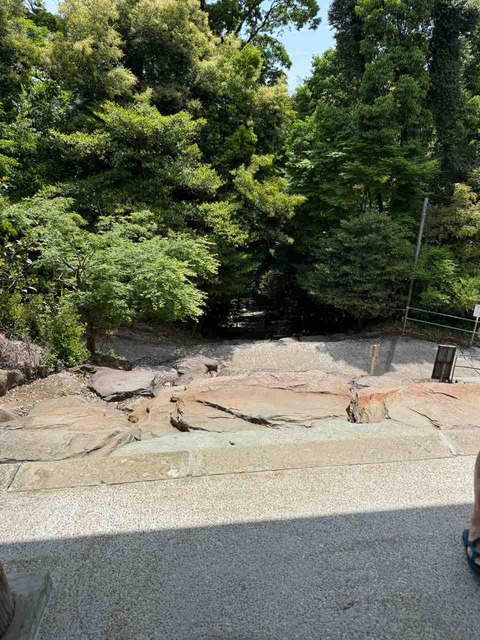 36A6619D-038B-4935-AF60-4AD61D0F4277