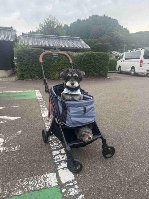 E1B55116-AFC9-43E4-8A9A-2E1FD0C18BDD