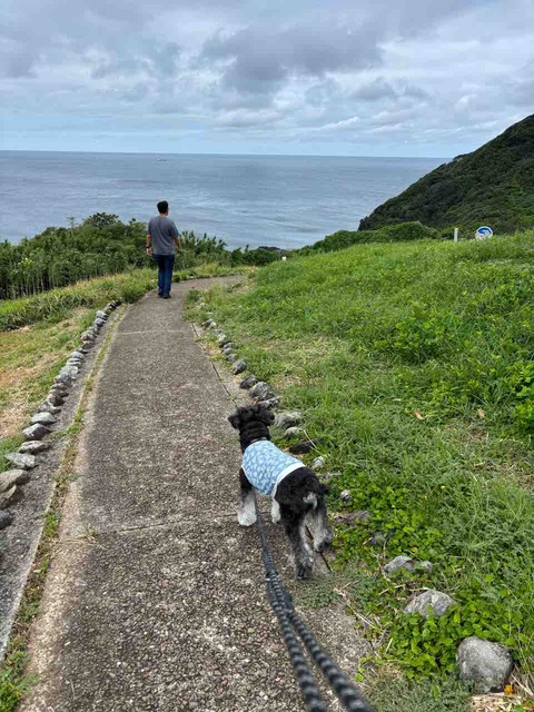 BE0DCB96-C614-4120-A20F-A0227B0BD710