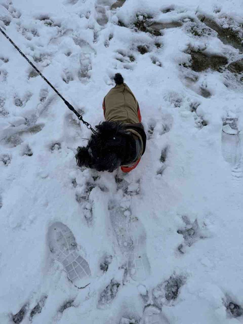 BC8E7B09-36F2-4333-914C-2A5B2A3A6FA5