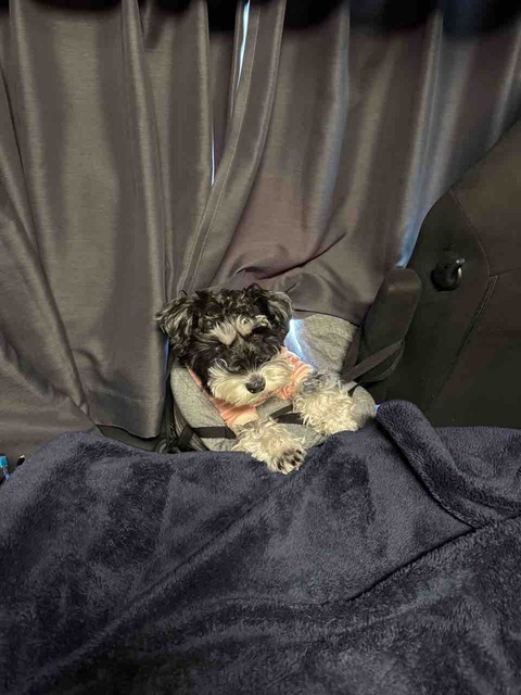 E46DA838-362E-4A33-90A6-9D5B31072634