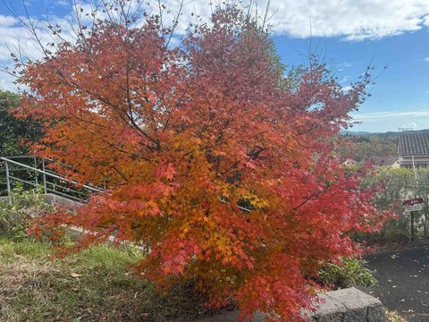 3E24413C-D604-474A-86B5-BCF3527AAFA1