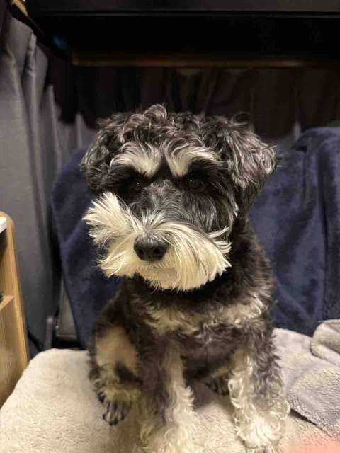 50F71B54-8289-42F6-B17C-E4F5BB8A68F7