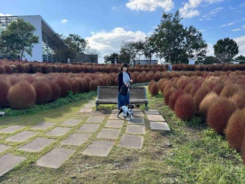 A28091EC-2BD5-4C4B-966B-766D93E1A7A8