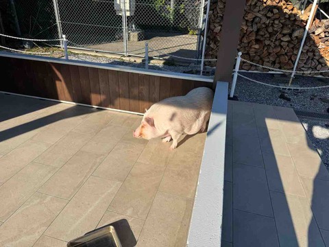 91DA5714-8407-493F-8EAC-5CB1054DD040