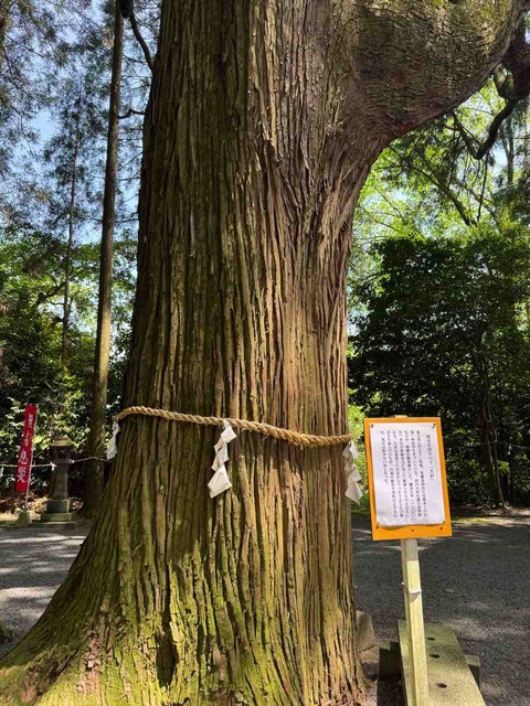 24174E7B-DDCC-4DCB-B842-4F1D6DDDDDD0