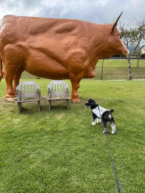 4A5F042D-2346-4EEE-B787-DE4E1D21F85D